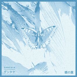 Album cover of Butterfly Leaves