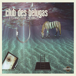 Album cover of Fishing for Zebras