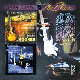 Album cover of A Double Dose of the Blues