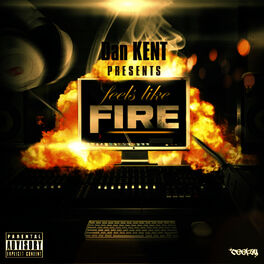 Album cover of Feels Like Fire