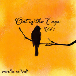 Album cover of Out of the Cage, Vol. 1