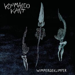 Album cover of Wimpergeklimper
