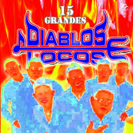 Album cover of 15 Grandes