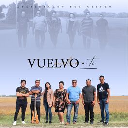 Album cover of vuelvo a ti