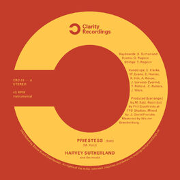 Album cover of Priestess / Bravado