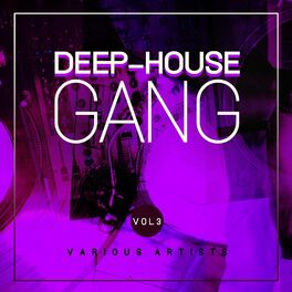 Album cover of Deep-House Gang, Vol. 3