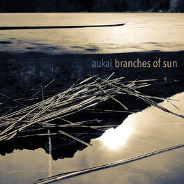 Album cover of Branches of Sun