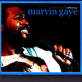 marvin gaye anthology songs