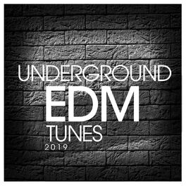 Album cover of Underground EDM Tunes 2019
