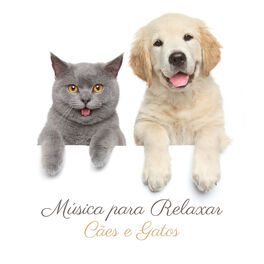 Album cover of Música para Relaxar Cães e Gatos: Animais de Estimação Tranquilos, Cães Adormecidos, Terapia para Ansiedade de Cachorro e Hiperati