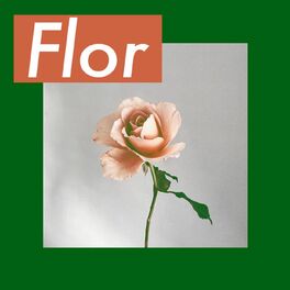 Album cover of Flor