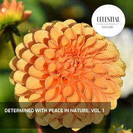 Album cover of Determined With Peace in Nature, Vol. 1