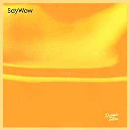 Album cover of Say Wow