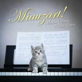 Album cover of Miauzart! Música Clásica Para Gatos