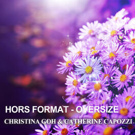 Album cover of Hors Format - Oversize