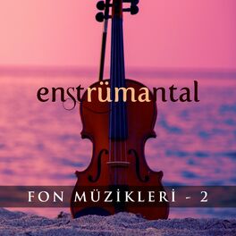 Album cover of Enstrümantal Fon Müzikleri 2
