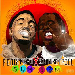 Album cover of SUM IZM (feat. Fenix Flexin)