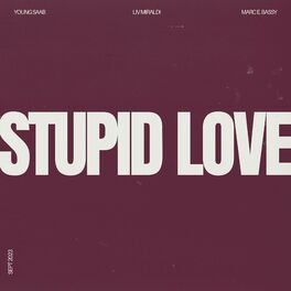 Album cover of Stupid Love