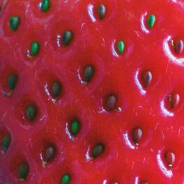 Album cover of Strawberry Visions