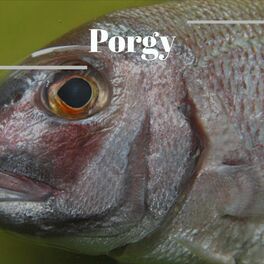 Album cover of Porgy