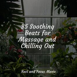 Album cover of 35 Soothing Beats for Massage and Chilling Out