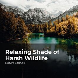 Album cover of Relaxing Shade of Harsh Wildlife