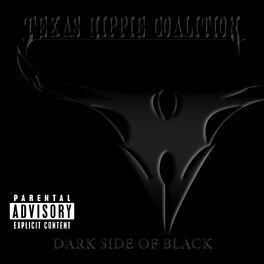 Album cover of Dark Side of Black