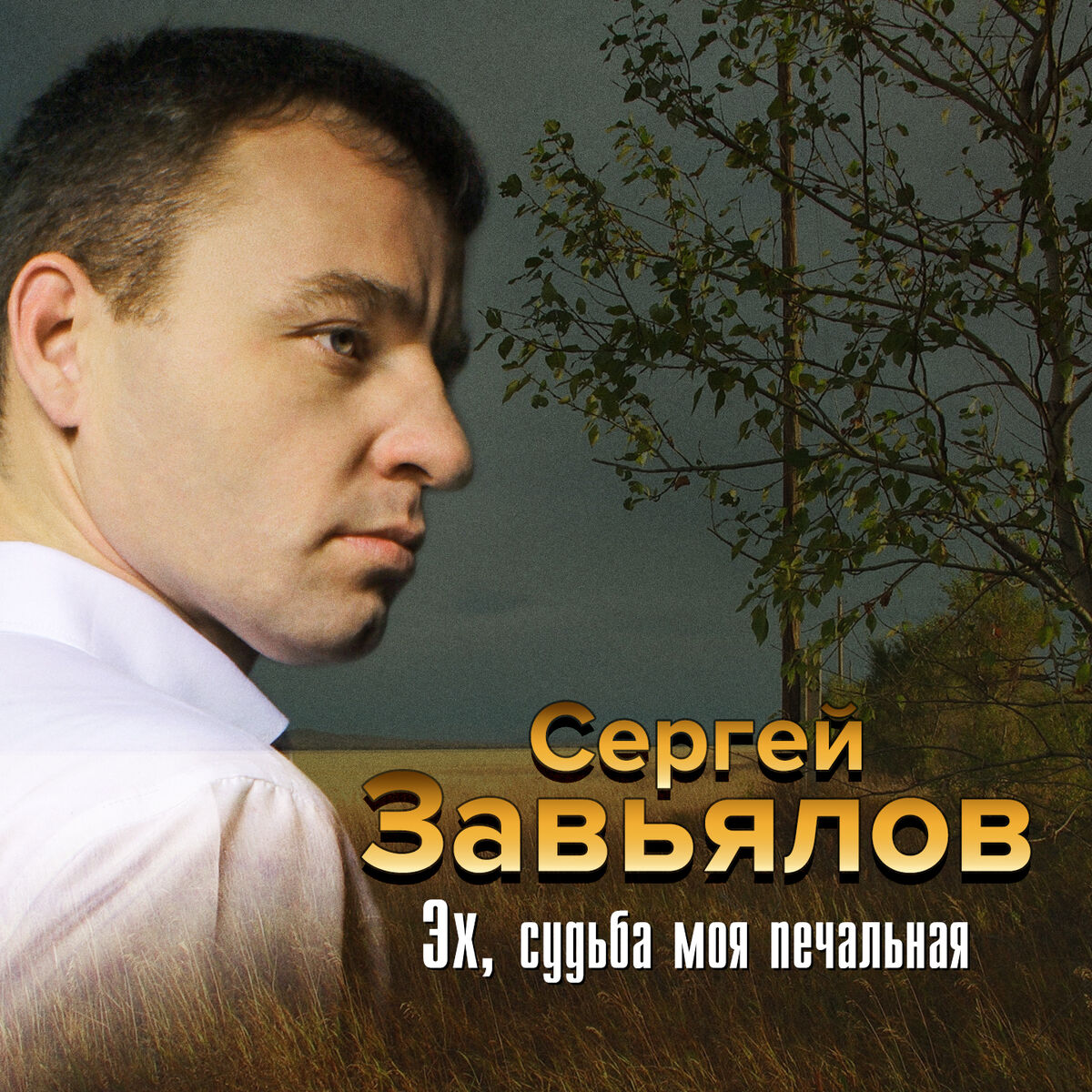 Сергей Завьялов: альбомы, песни, плейлисты | Слушайте на Deezer