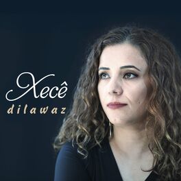 Album cover of Dil Awaz
