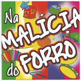 Album cover of Na Malícia do Forró