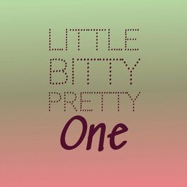 Album cover of Little Bitty Pretty One