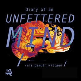 Album cover of Diary Of An Unfettered Mind