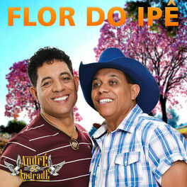 Album cover of Flor do Ipê (Ao Vivo)