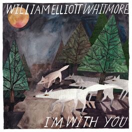 Album cover of I'm With You