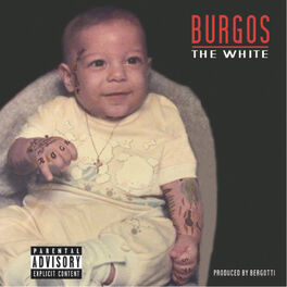 Album cover of The White