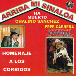 Album cover of Arriba Mi Sinaloa