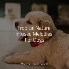 Album cover of Powerful Sounds For Dogs | Sleep and Chilling Out