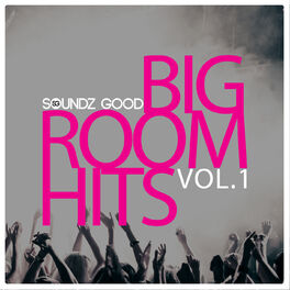 Album cover of Soundz Good Big Room Hits Vol.1