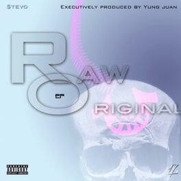 Album cover of Raw & Original