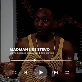 Album cover of Madman Like Stevo