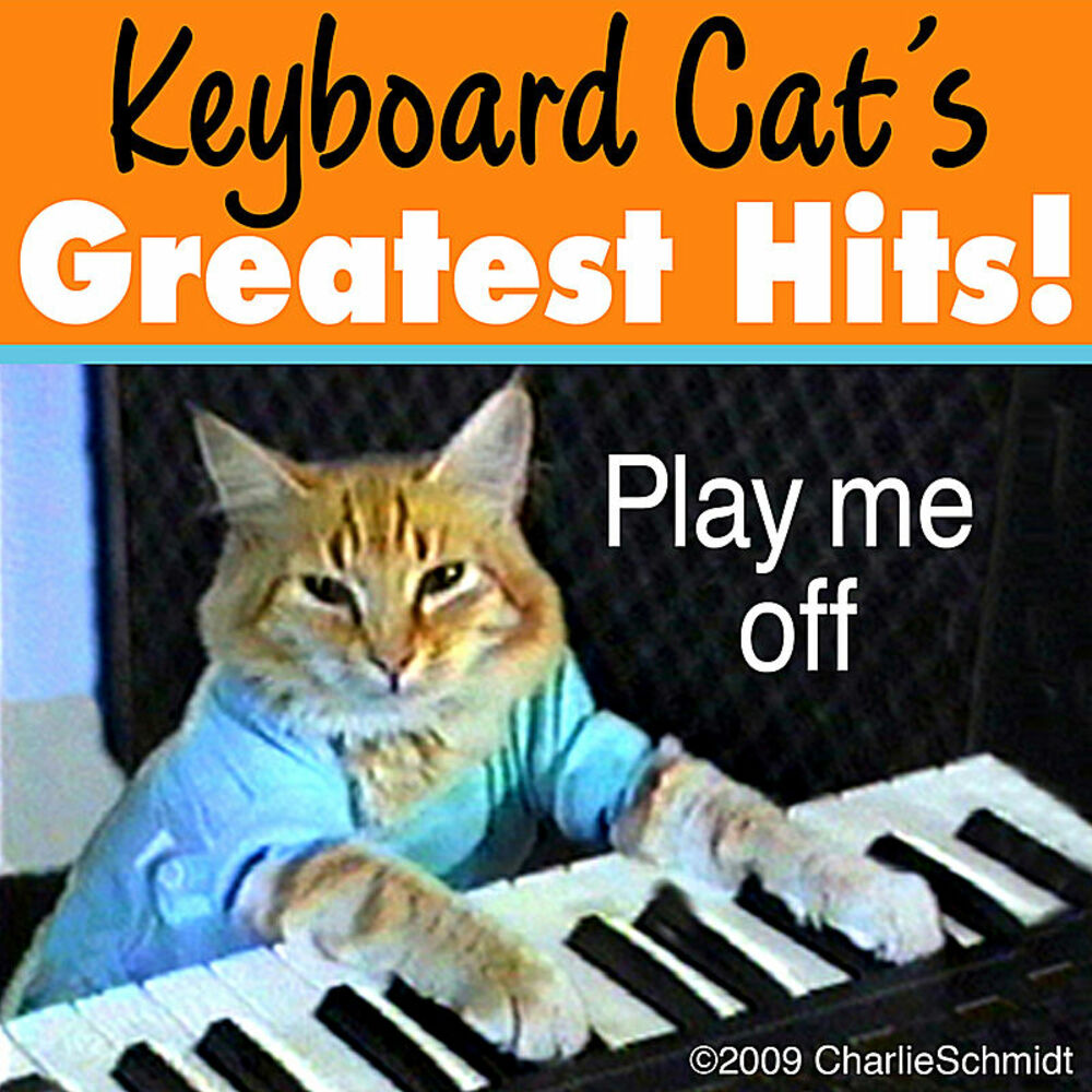 Кэтс песня. Keyboard Cat русская версия. Keyboard Cat Fatso. Мем Keyboard Cat. Play him off Keyboard Cat.