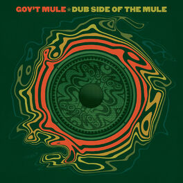 Album cover of Dub Side of the Mule (Standard Version)