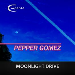 Album cover of Moonlight Drive