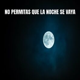 Album cover of No permitas que la noche se vaya