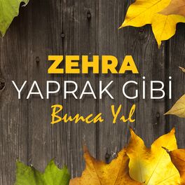 Album cover of Yaprak Gibi - Bunca Yıl