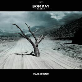 Album cover of Waterproof