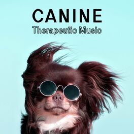 Album cover of Canine Therapeutic Music – Deeply Relaxing, Calming and Healing Tunes for Your Dog