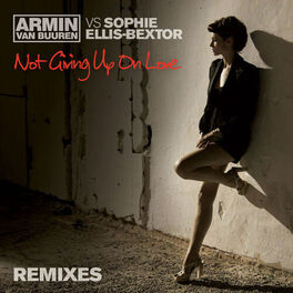 Album cover of Not Giving Up On Love (Remixes)