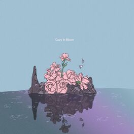 Album cover of Cozy in Bloom