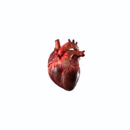 Album cover of What Is Love